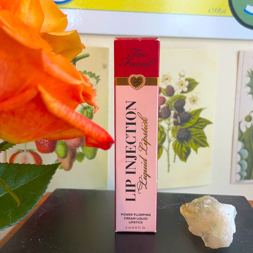 Lip Injection Liquid Lipstick <3 original price 26$